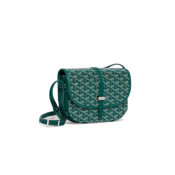 Goyard Belvedere PM Bag Green